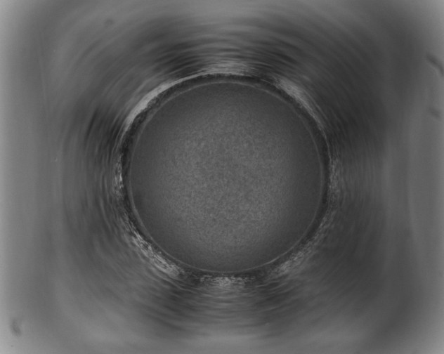 X0000100350923200806061111