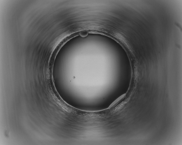 X0000100350924200806061111