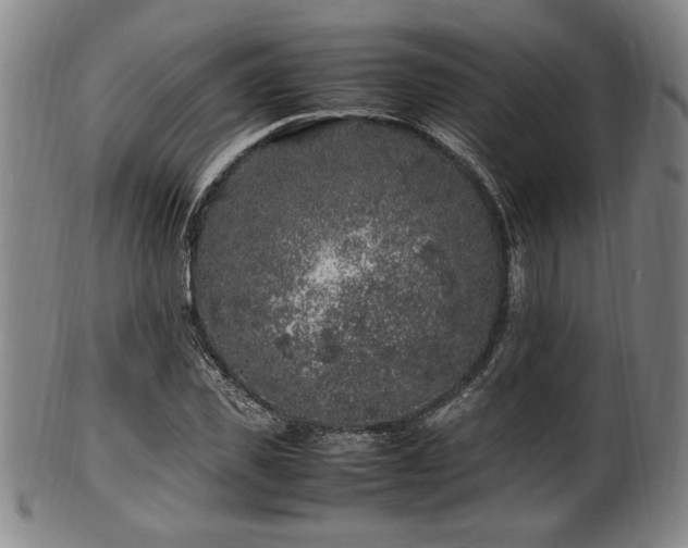 X0000100350925200806061111