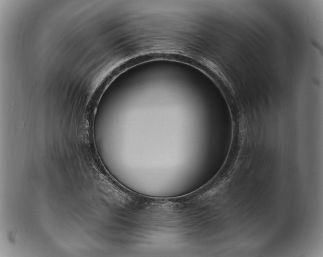 X0000100350926200806061111