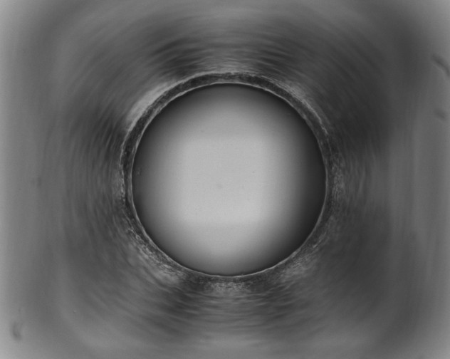 X0000100350927200806061111