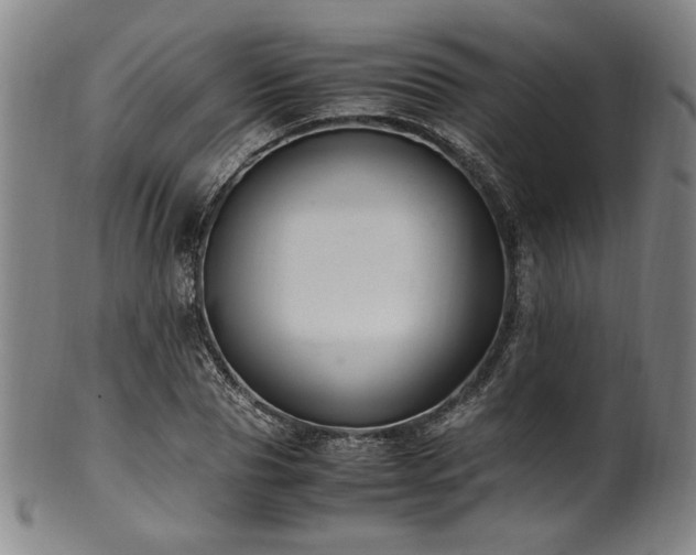 X0000100350929200806061111