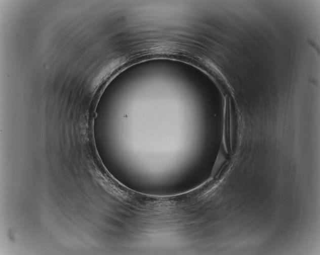 X0000100350930200806061111