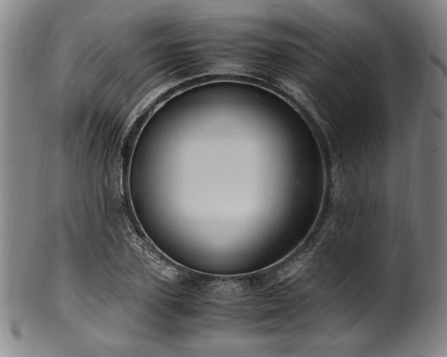 X0000100350931200806061111