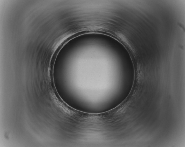 X0000100350932200806061111