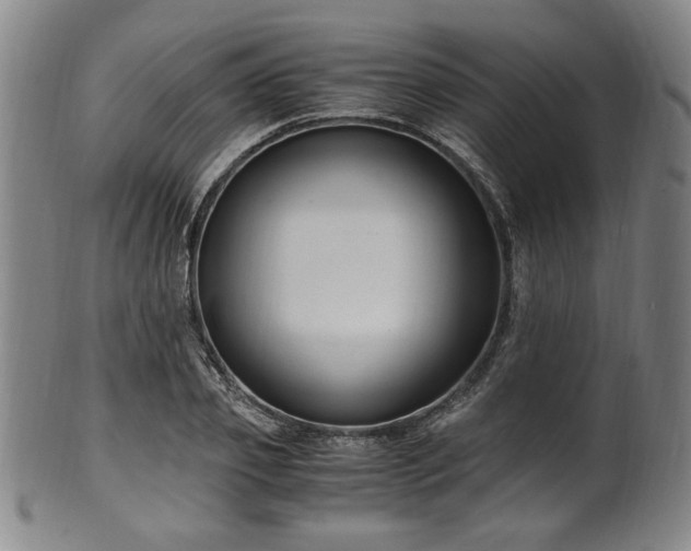 X0000100350933200806061111