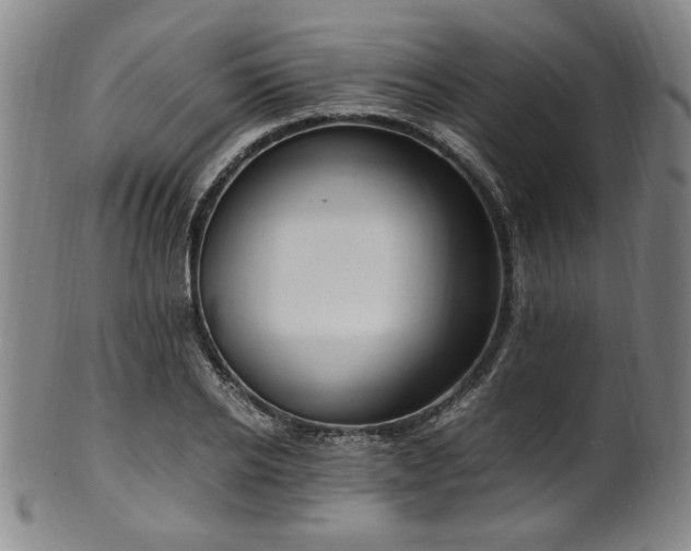 X0000100350934200806061111