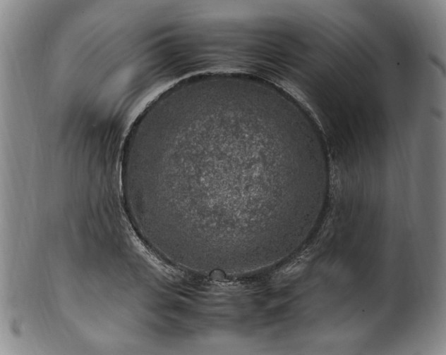 X0000100350935200806061111