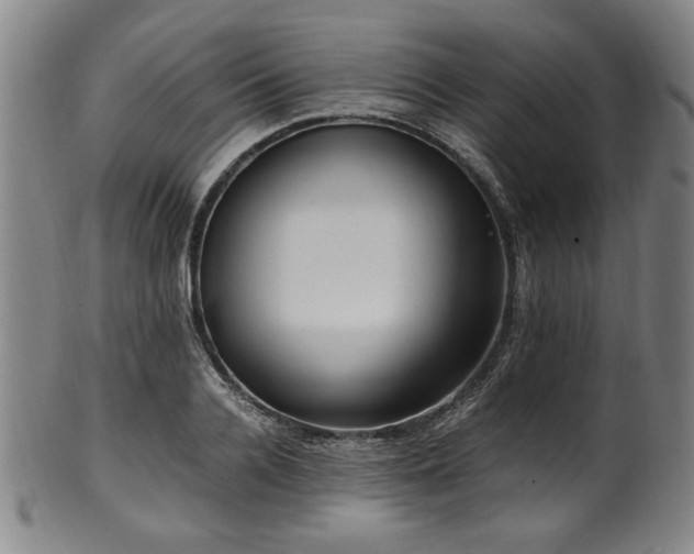 X0000100350936200806061111