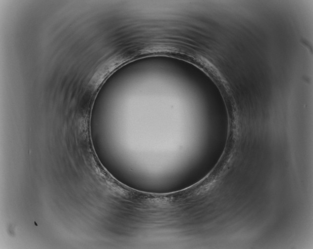 X0000100350937200806061111