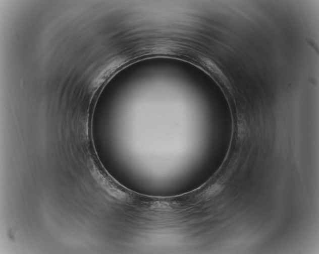 X0000100350938200806061111