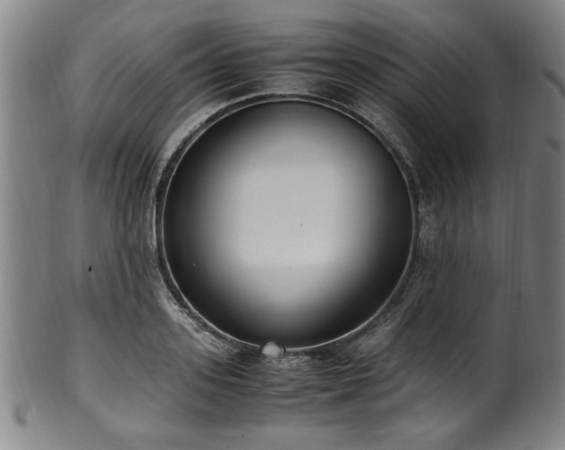 X0000100350939200806061111