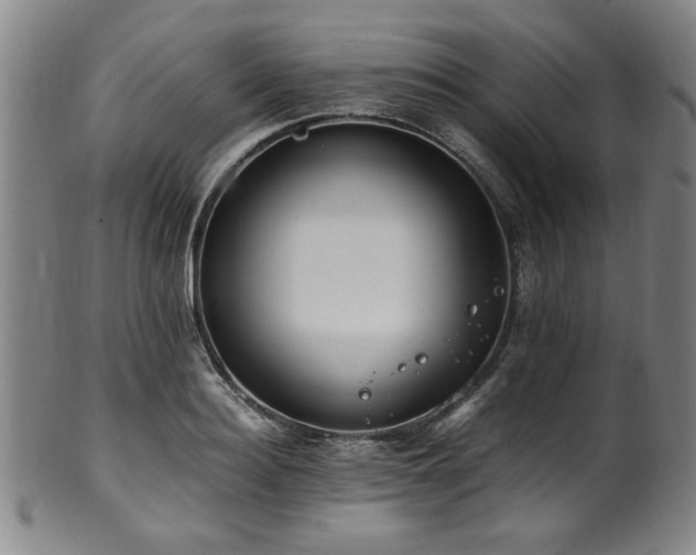 X0000100350940200806061111