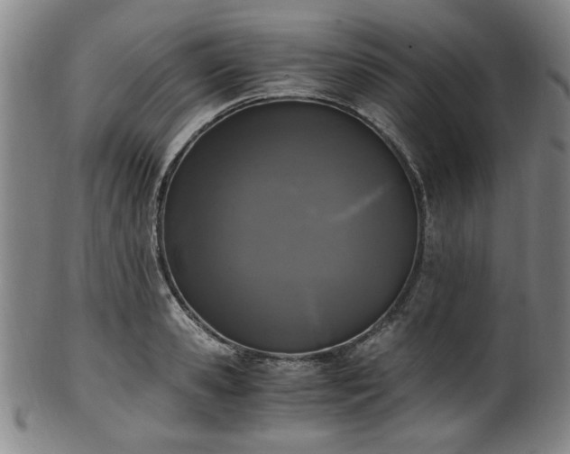 X0000100350941200806061111
