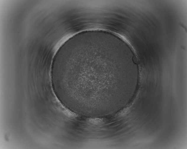 X0000100350943200806061111