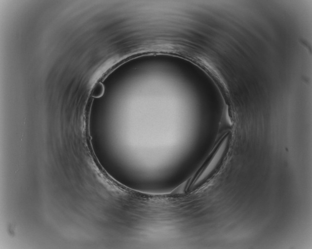 X0000100350944200806061111