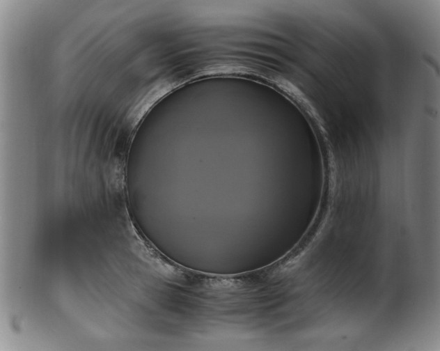 X0000100350945200806061111