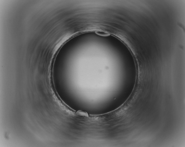 X0000100350949200806061111
