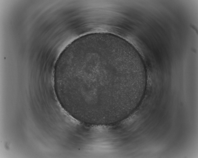 X0000100350950200806061111