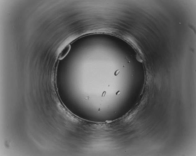 X0000100350952200806061111