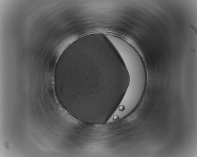 X0000100350954200806061111