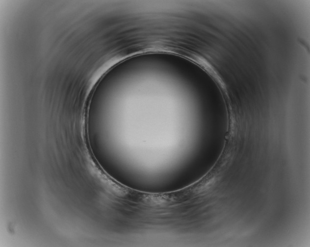 X0000100350955200806061111