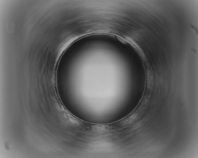 X0000100350956200806061111