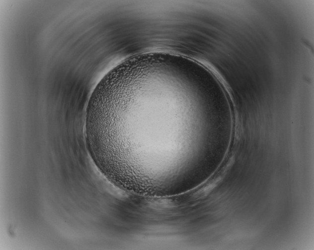 X0000100350957200806061111