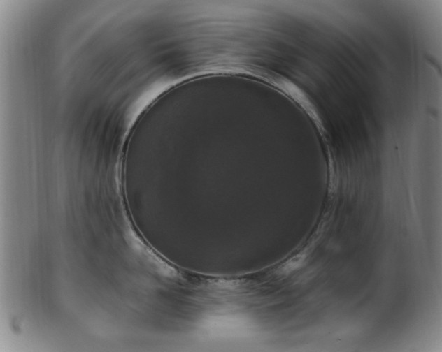 X0000100350958200806061111