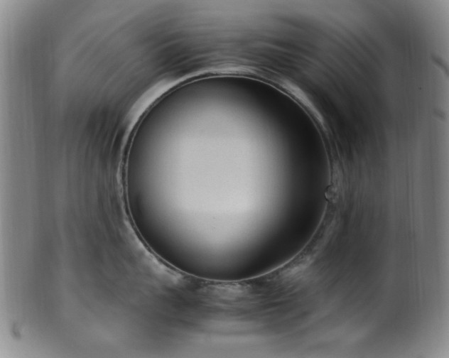 X0000100350959200806061111