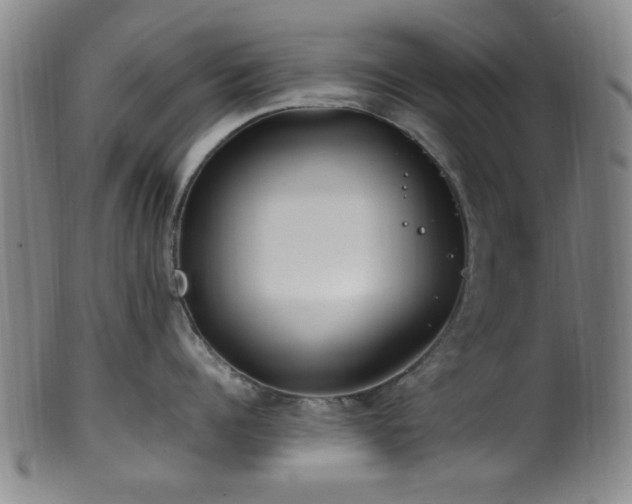 X0000100350960200806061111
