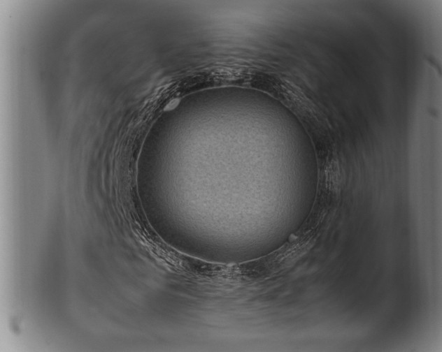 X0000100350961200806061110