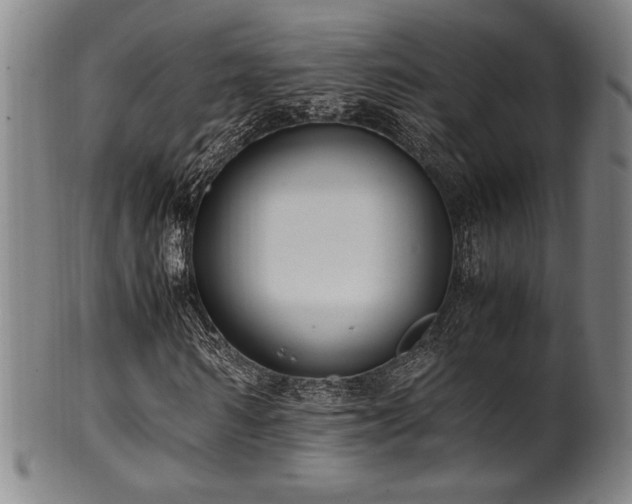 X0000100350962200806061110