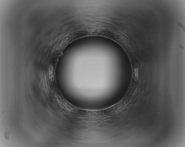 X0000100350963200806061110