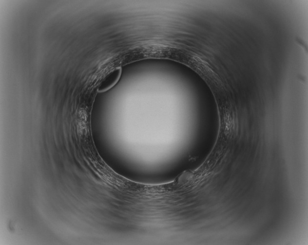 X0000100350964200806061110
