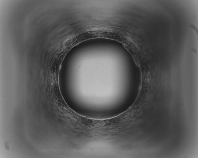 X0000100350965200806061110