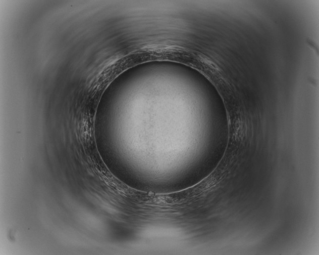 X0000100350966200806061110