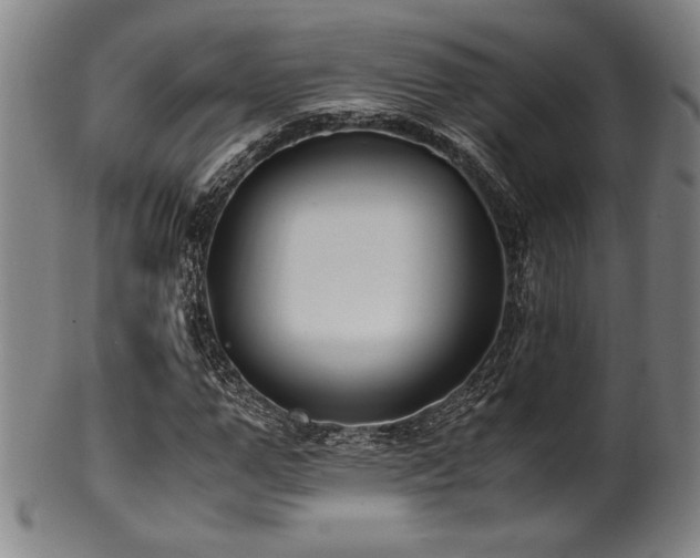 X0000100350967200806061110