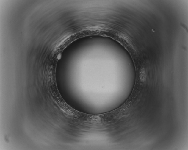 X0000100350968200806061110