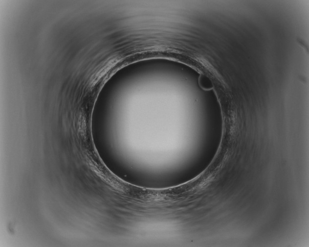X0000100350969200806061110