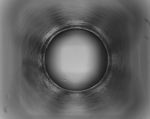 X0000100350970200806061110