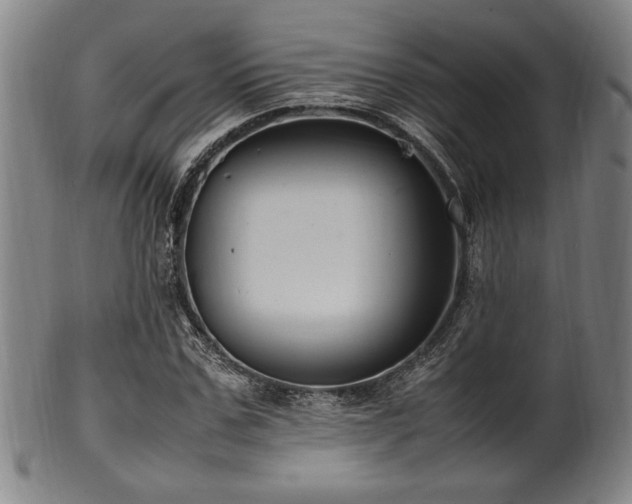 X0000100350971200806061110