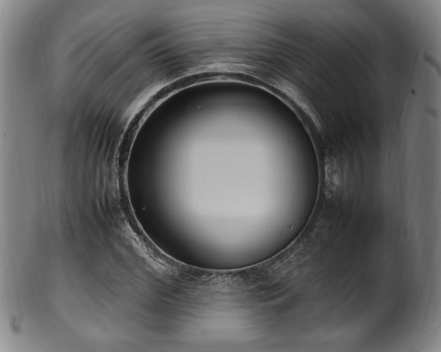 X0000100350972200806061110