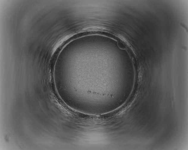 X0000100350973200806061110