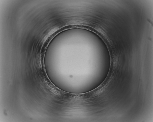 X0000100350974200806061110