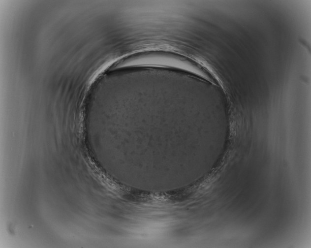 X0000100350975200806061110