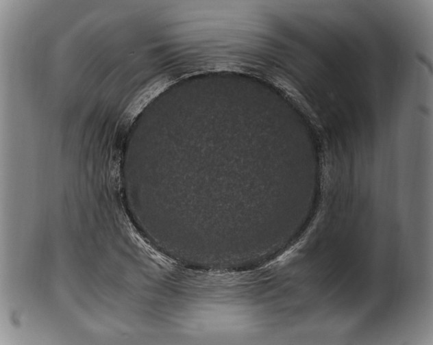 X0000100350977200806061110