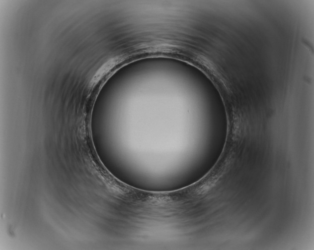 X0000100350978200806061110