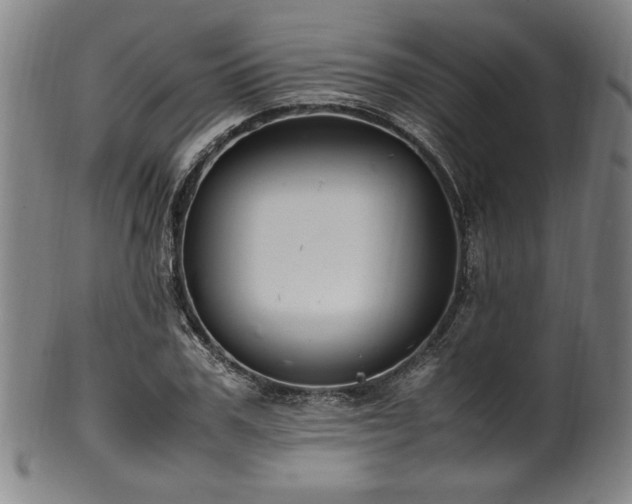 X0000100350979200806061110