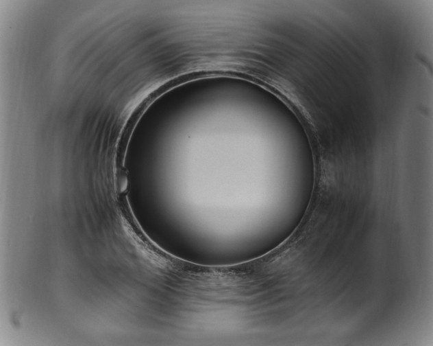 X0000100350980200806061110